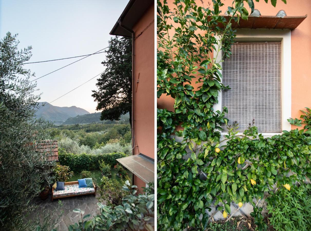 Casetta Di Butia, Mimosa Apartment Borgo a Mozzano Exterior foto